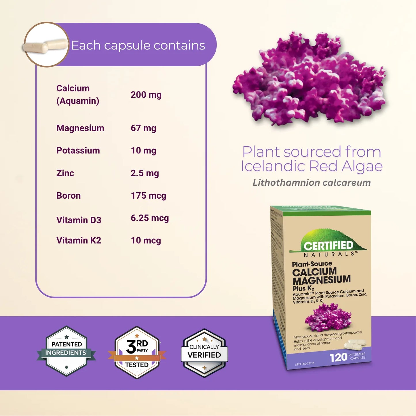 Calcium-Magnesium from Plant Source Aquamin - 240 Capsules