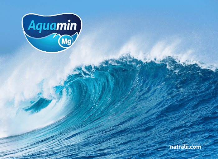Aquamin Mg from Irish seawater