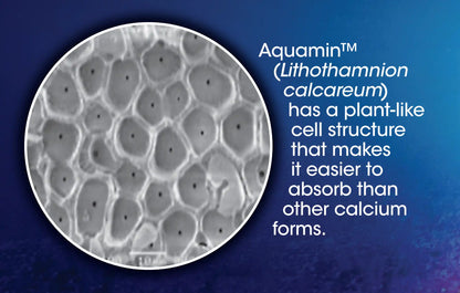 Aquamin plant source calcium