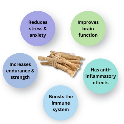 Stress & Sleep Reset Bundle
