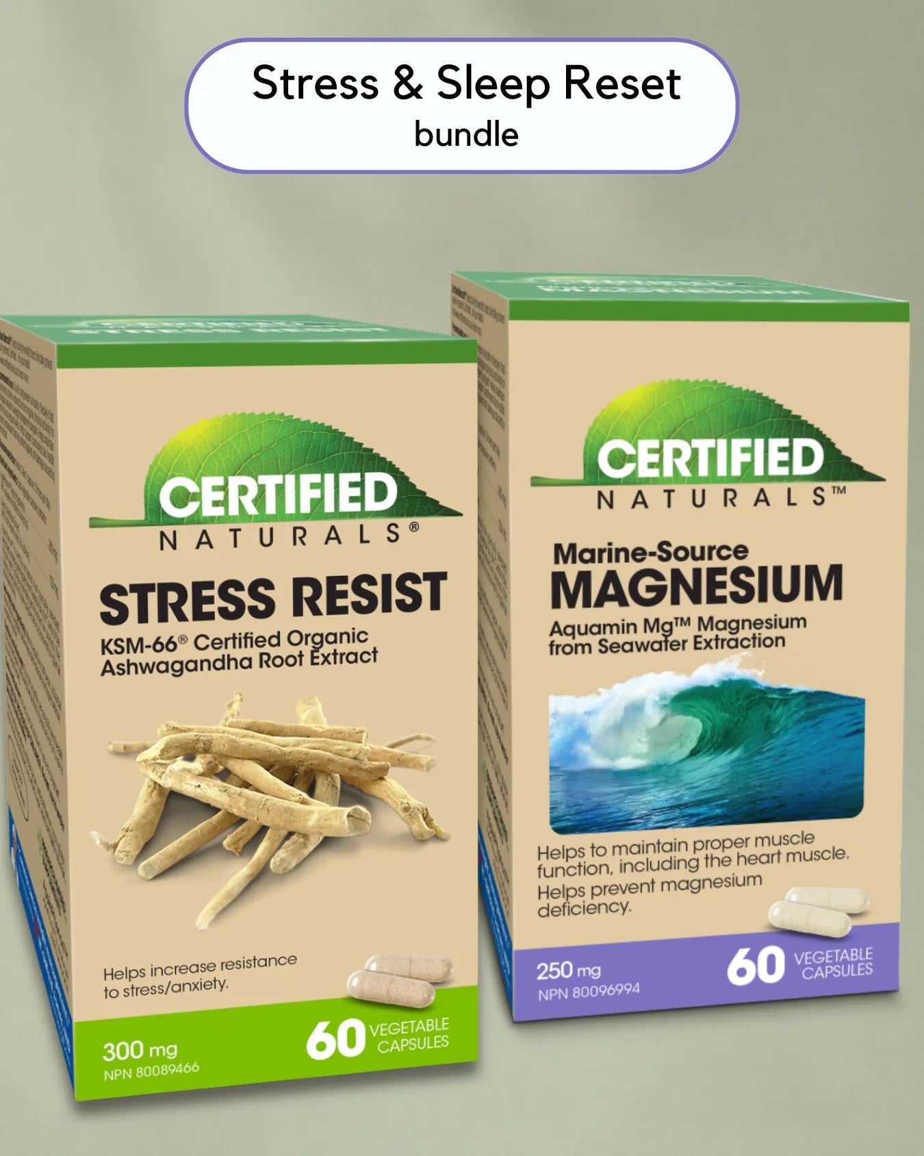 Stress and Sleep Bundle