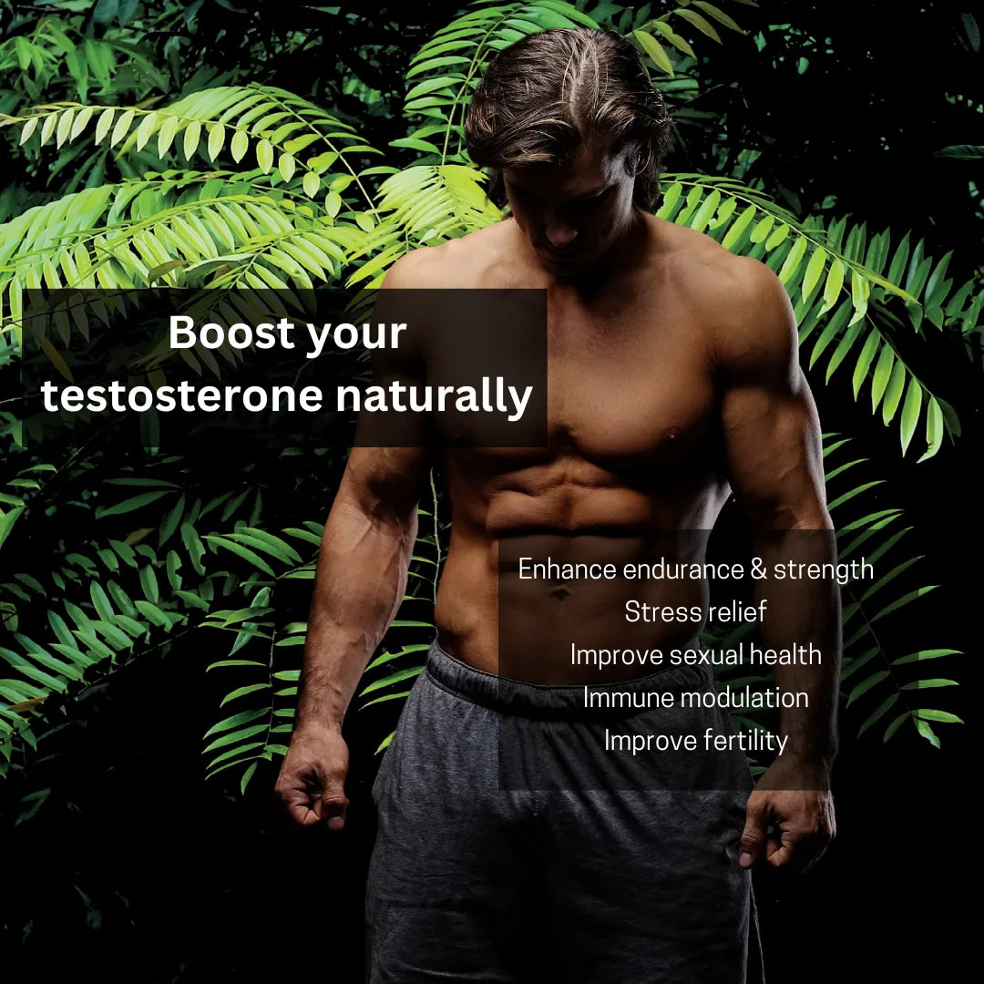 tongkat ali natural testosterone booster