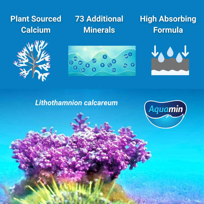 Plant source calcium from red algae
